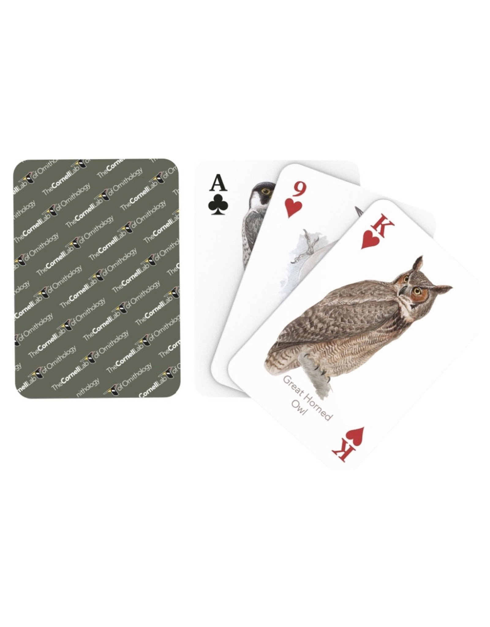 Birds of Eastern/Central North America Playing Cards