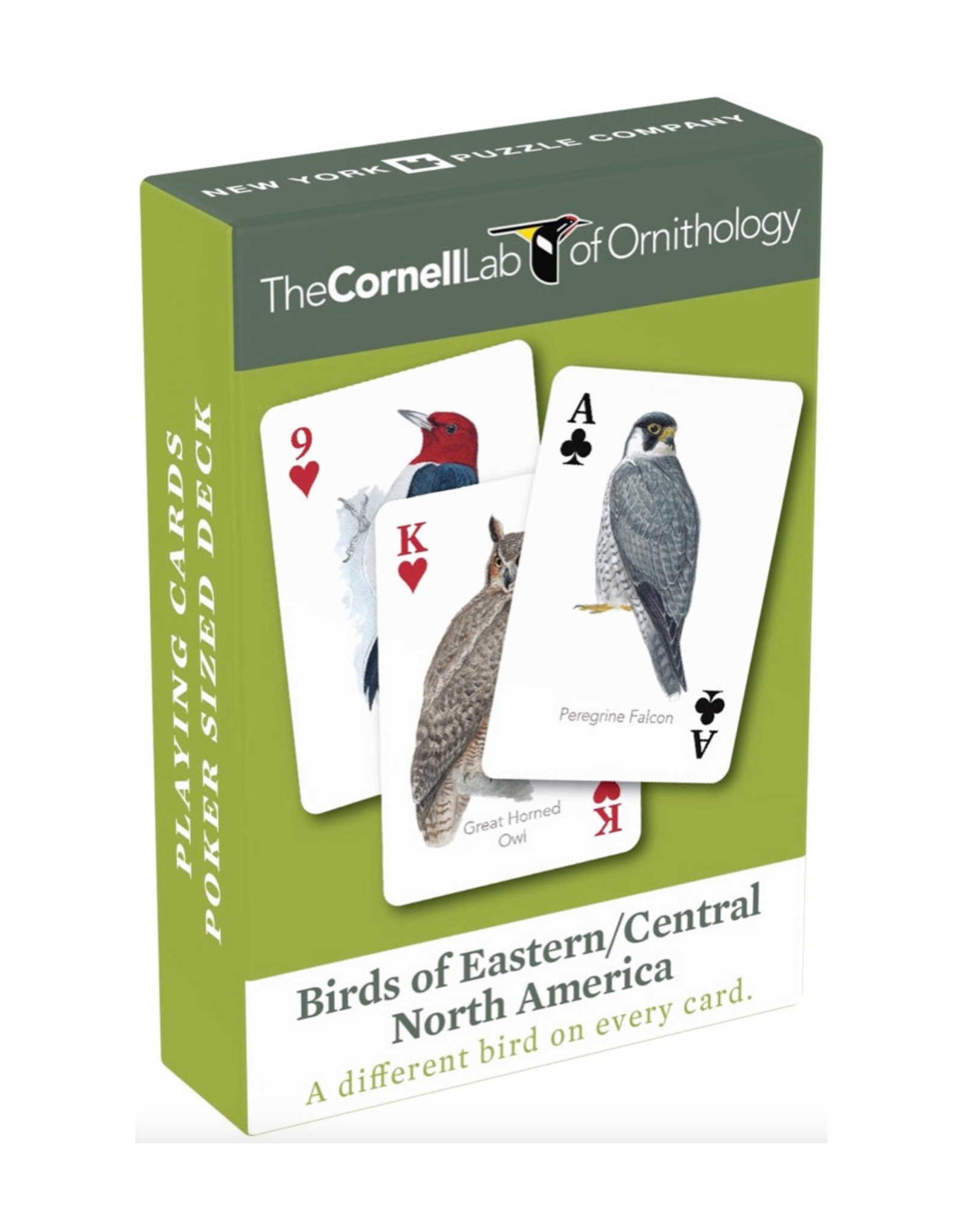 Birds of Eastern/Central North America Playing Cards