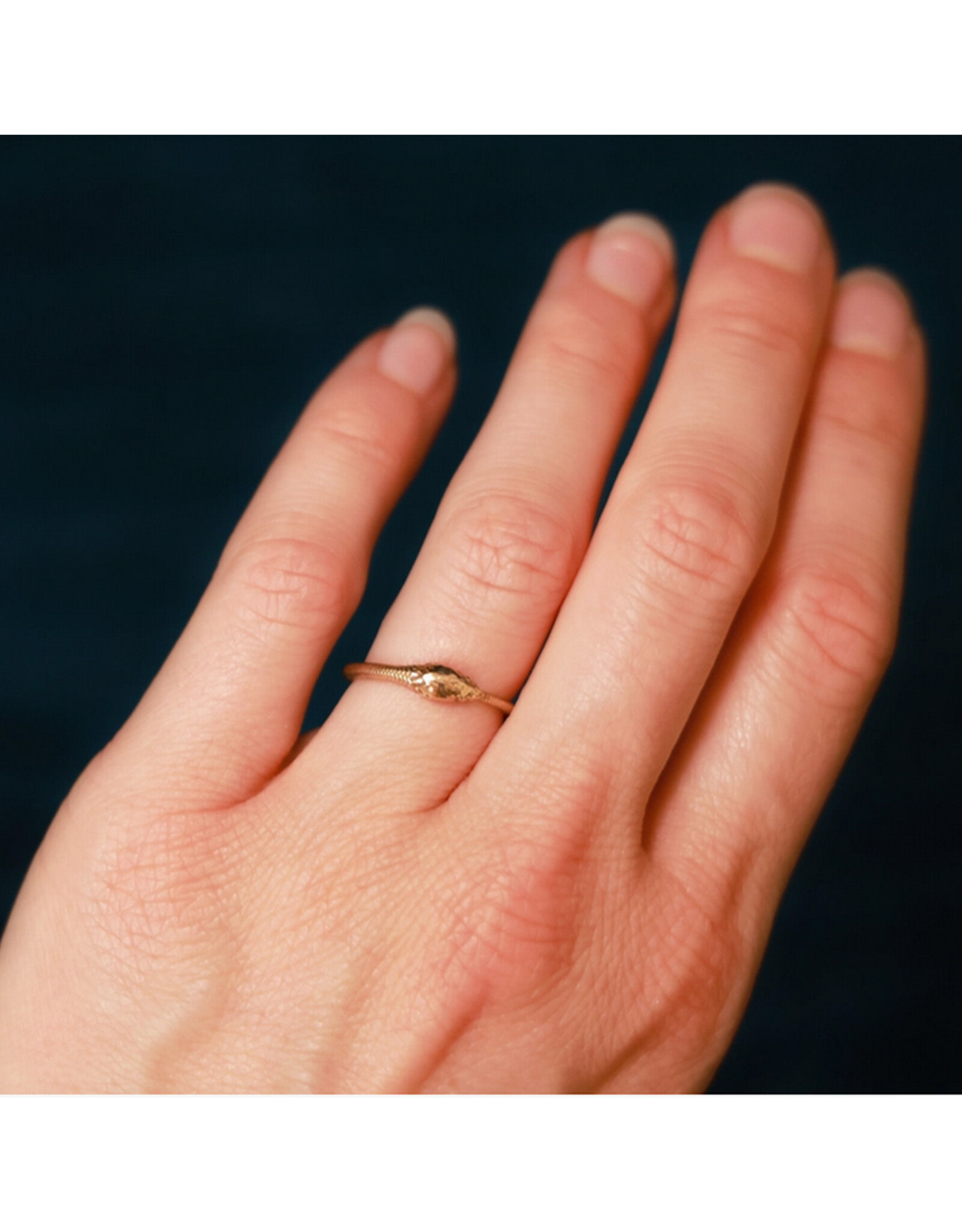 Ouroboros Snake Ring