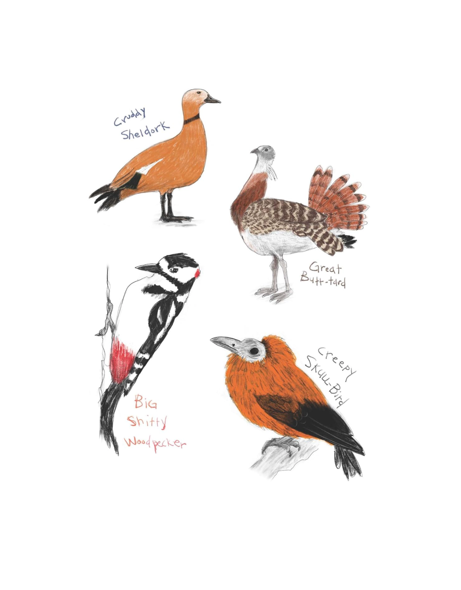 Field Guide to Dumb Birds Sticker Book