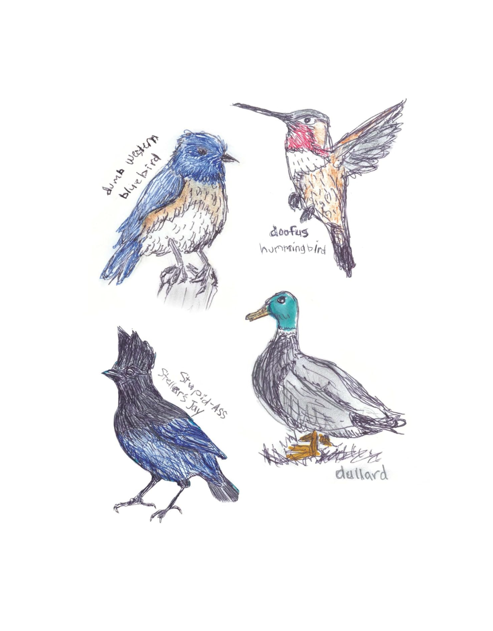 Field Guide to Dumb Birds Sticker Book
