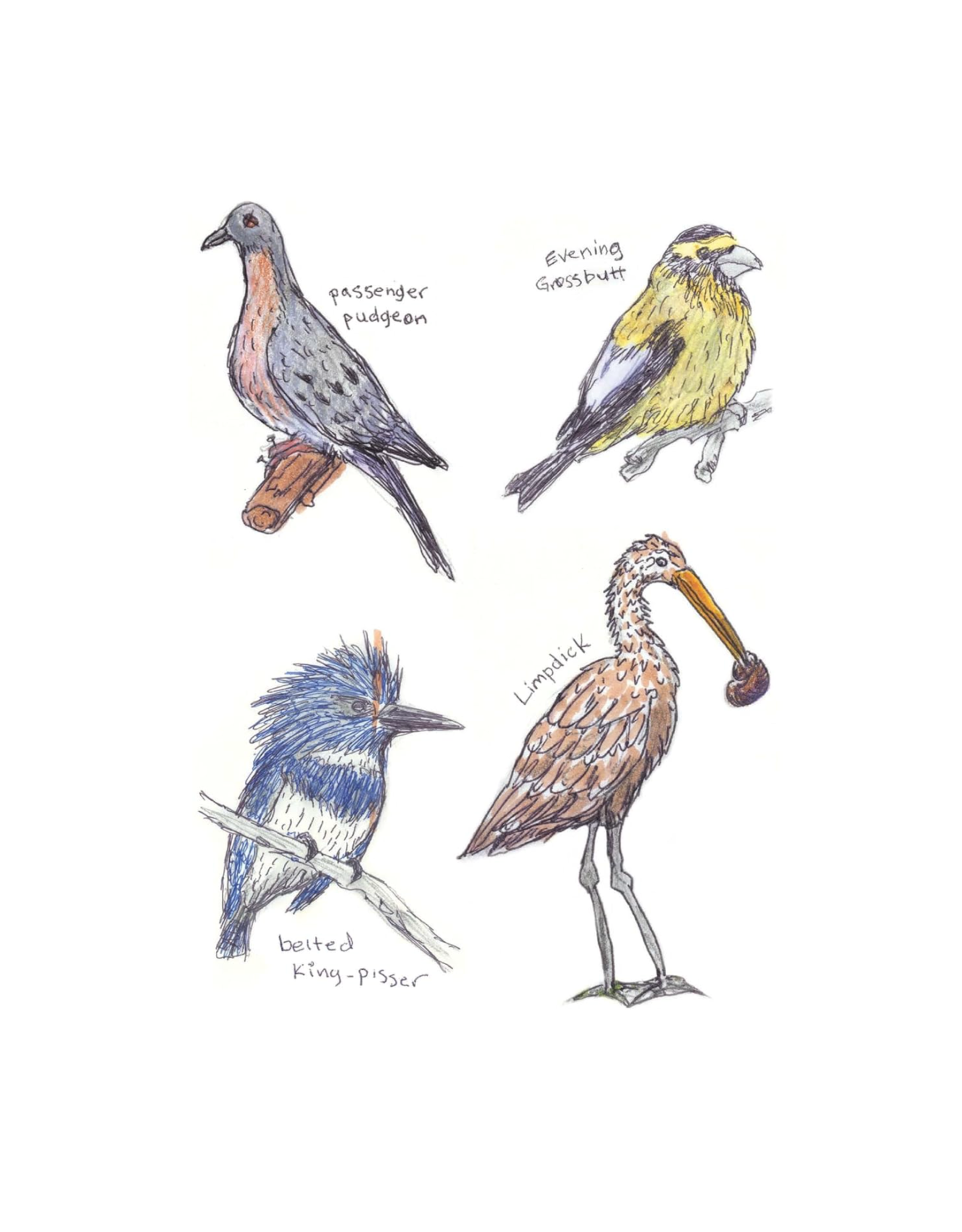 Field Guide to Dumb Birds Sticker Book