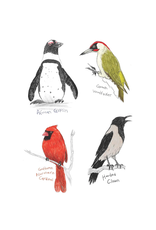 Field Guide to Dumb Birds Sticker Book