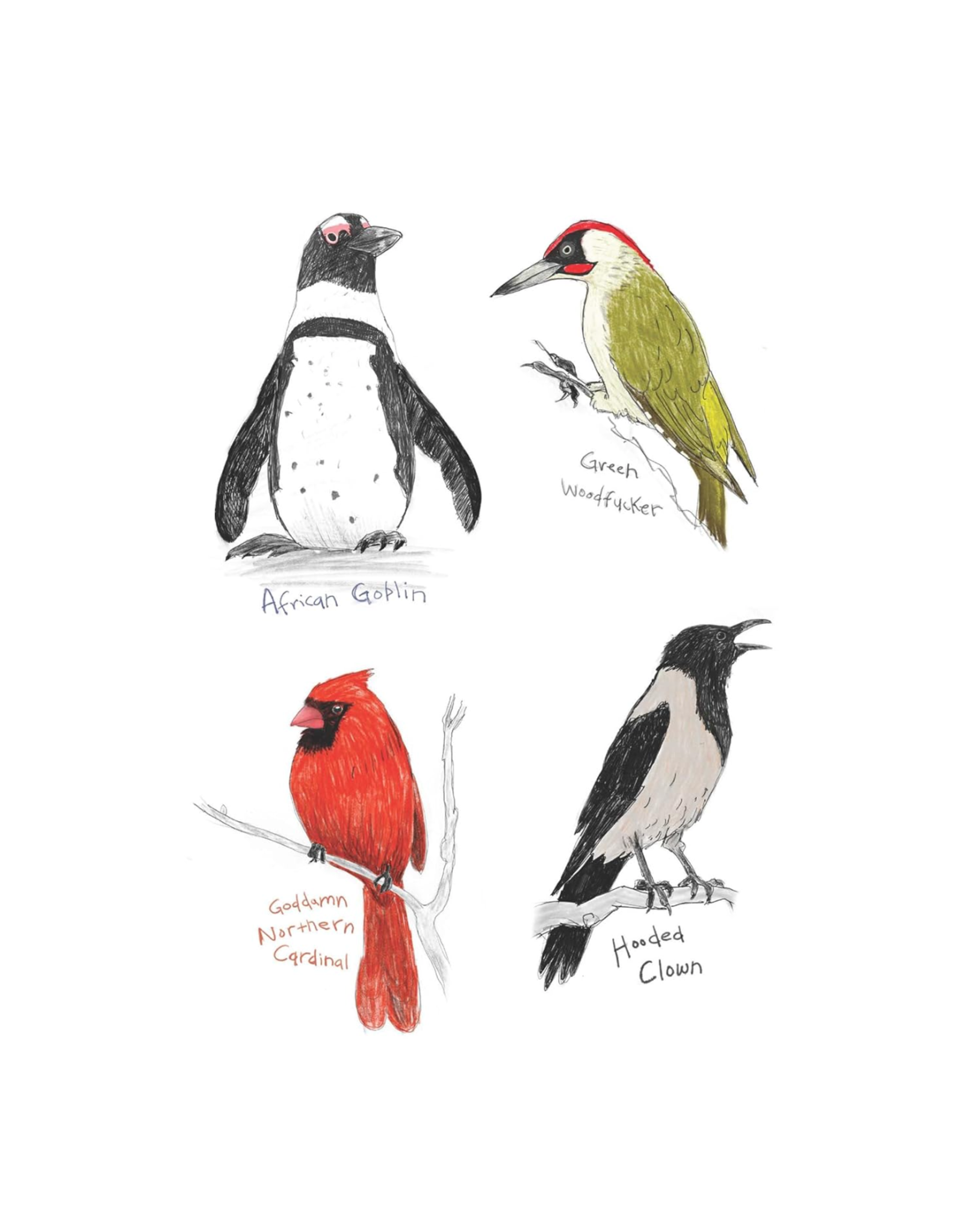 Field Guide to Dumb Birds Sticker Book