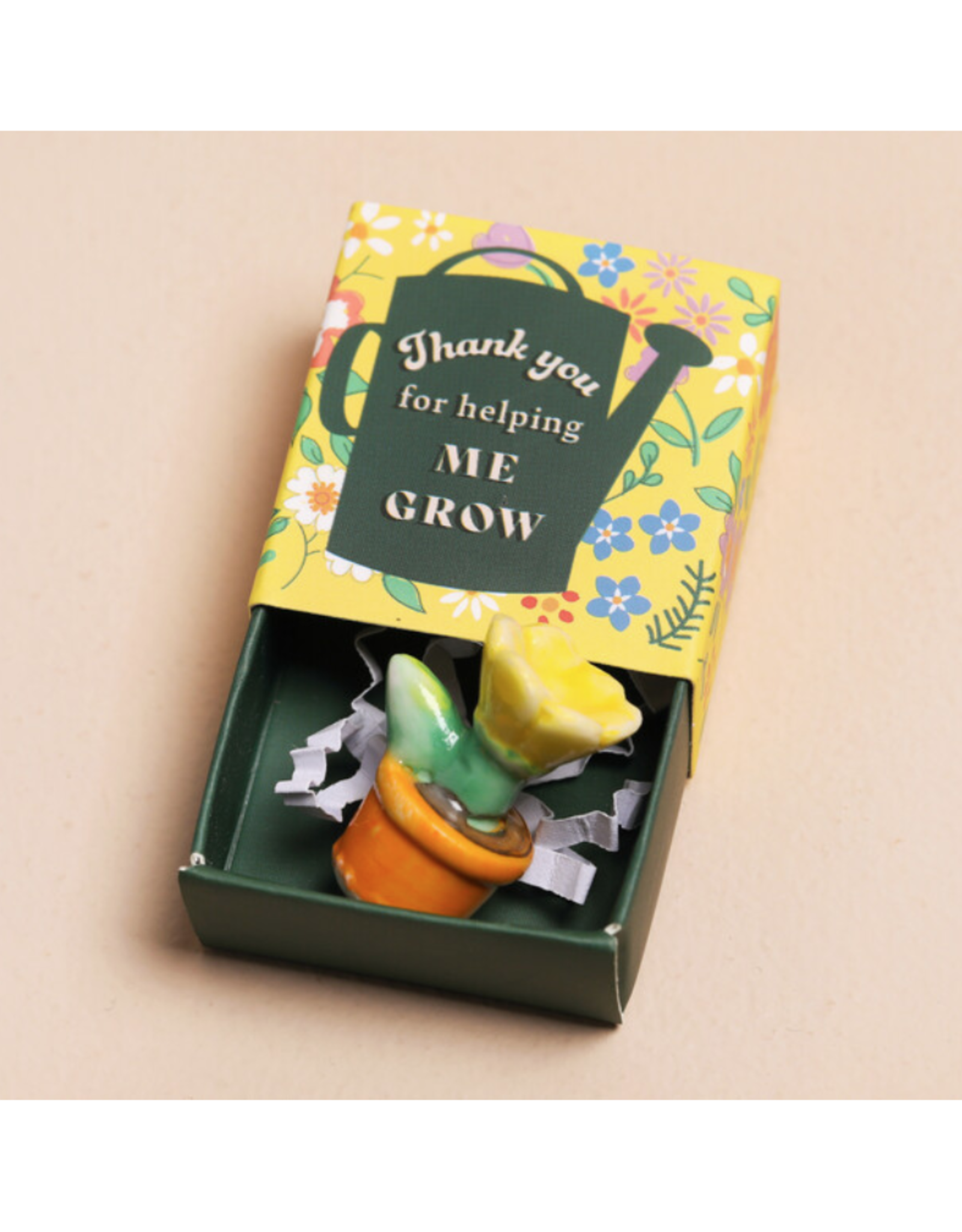 Helping Me Grow Plant Tiny Matchbox