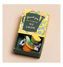 Helping Me Grow Plant Tiny Matchbox