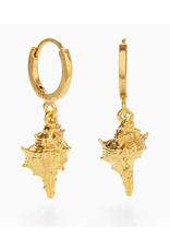 Conch Shell Huggie Hoop Earrings
