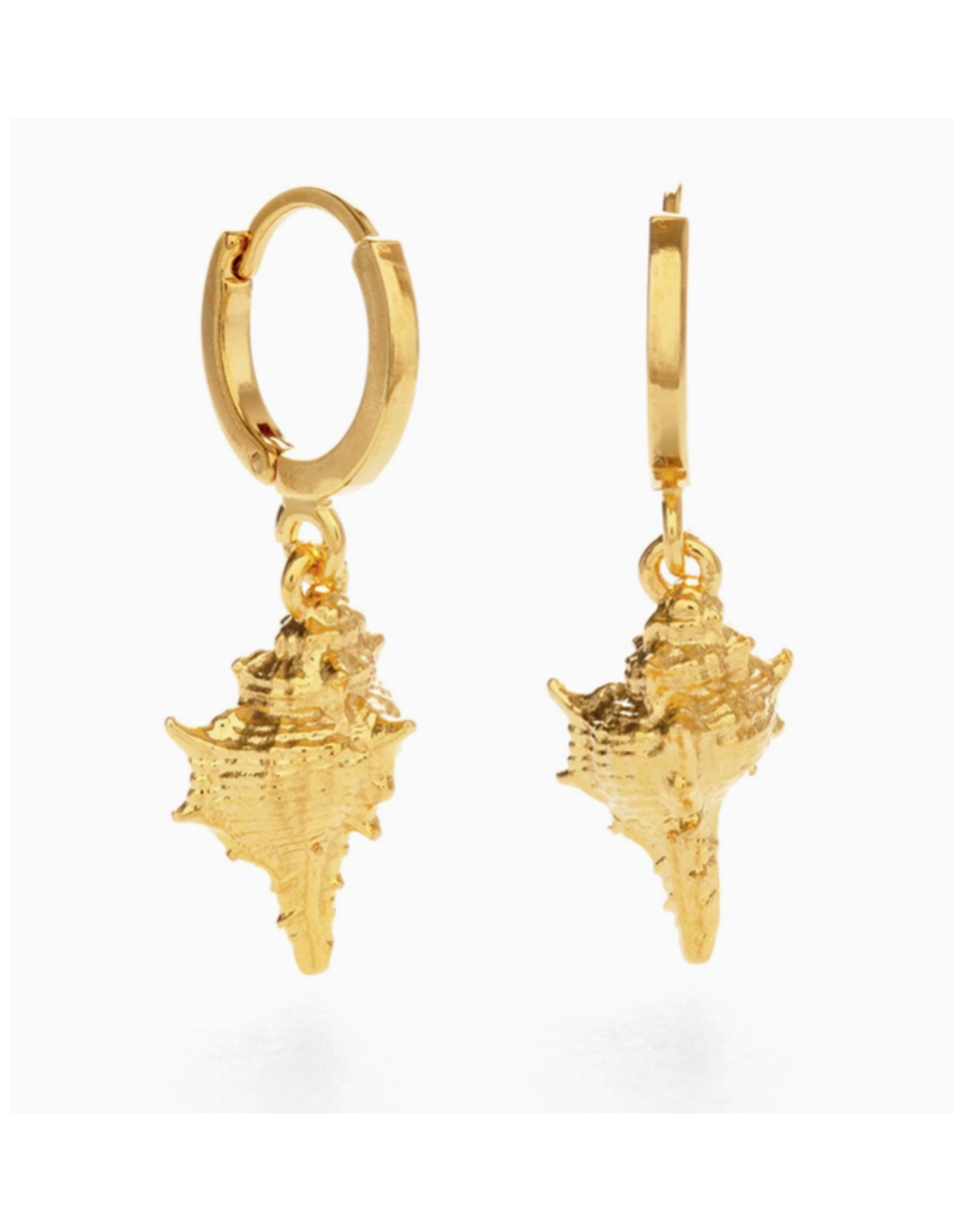 Conch Shell Huggie Hoop Earrings