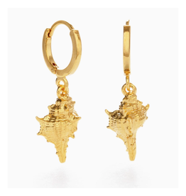 Conch Shell Huggie Hoop Earrings