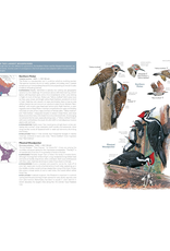 Field Guide to the Birds of the US & Canada - East