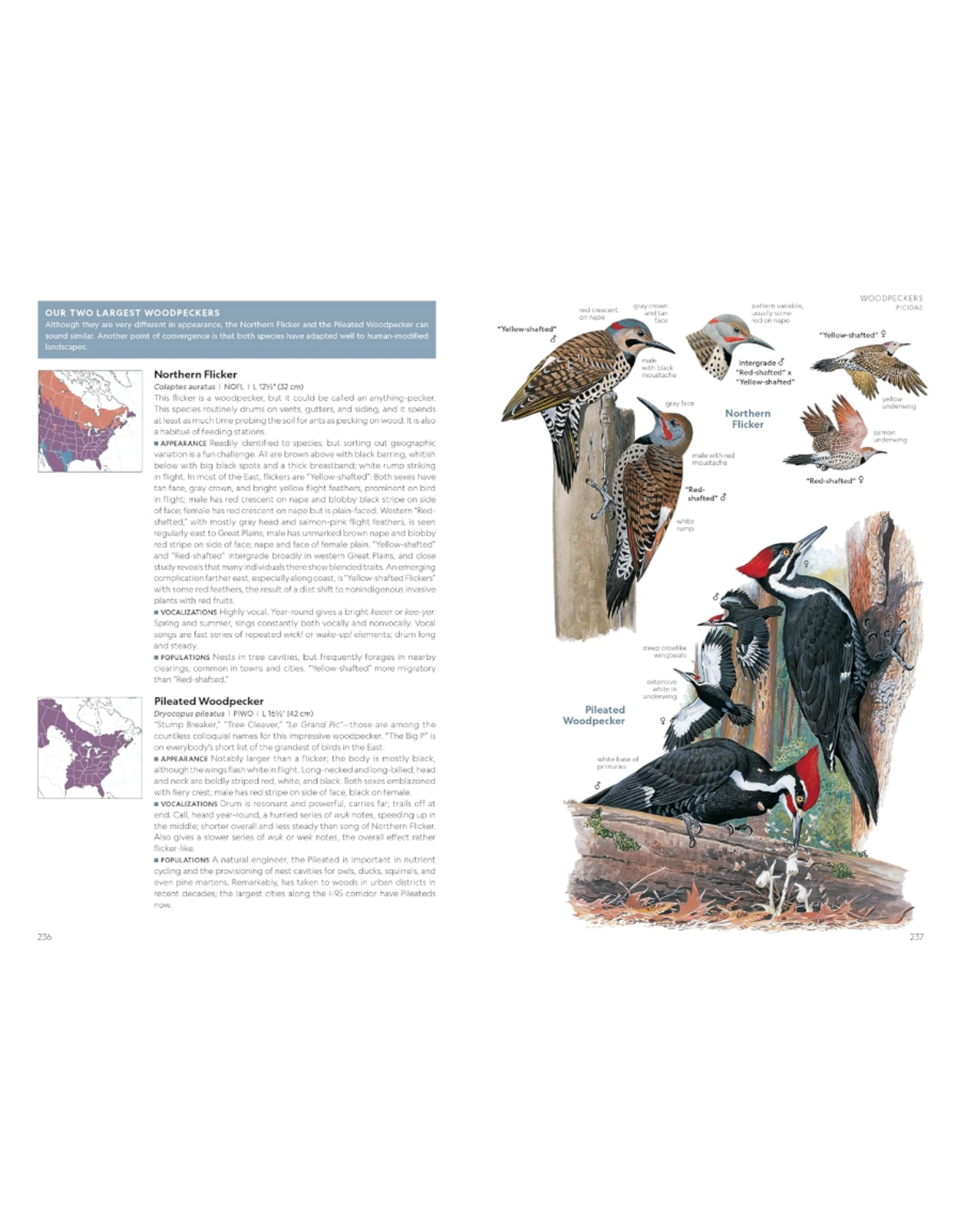 Field Guide to the Birds of the US & Canada - East