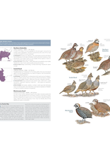 Field Guide to the Birds of the US & Canada - East