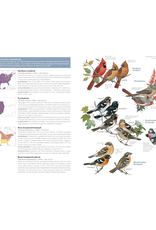 Field Guide to the Birds of the US & Canada - East