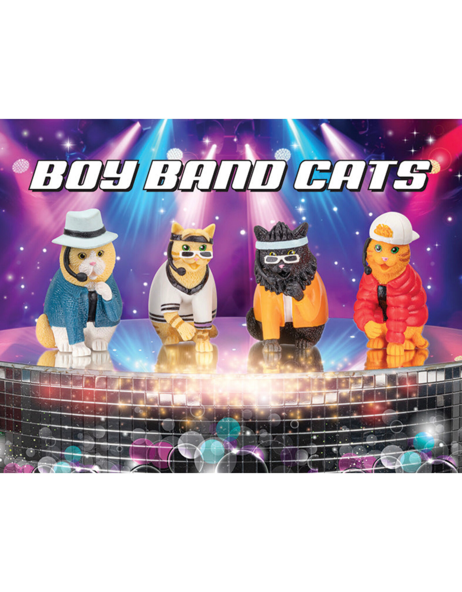 Boy Band Cats