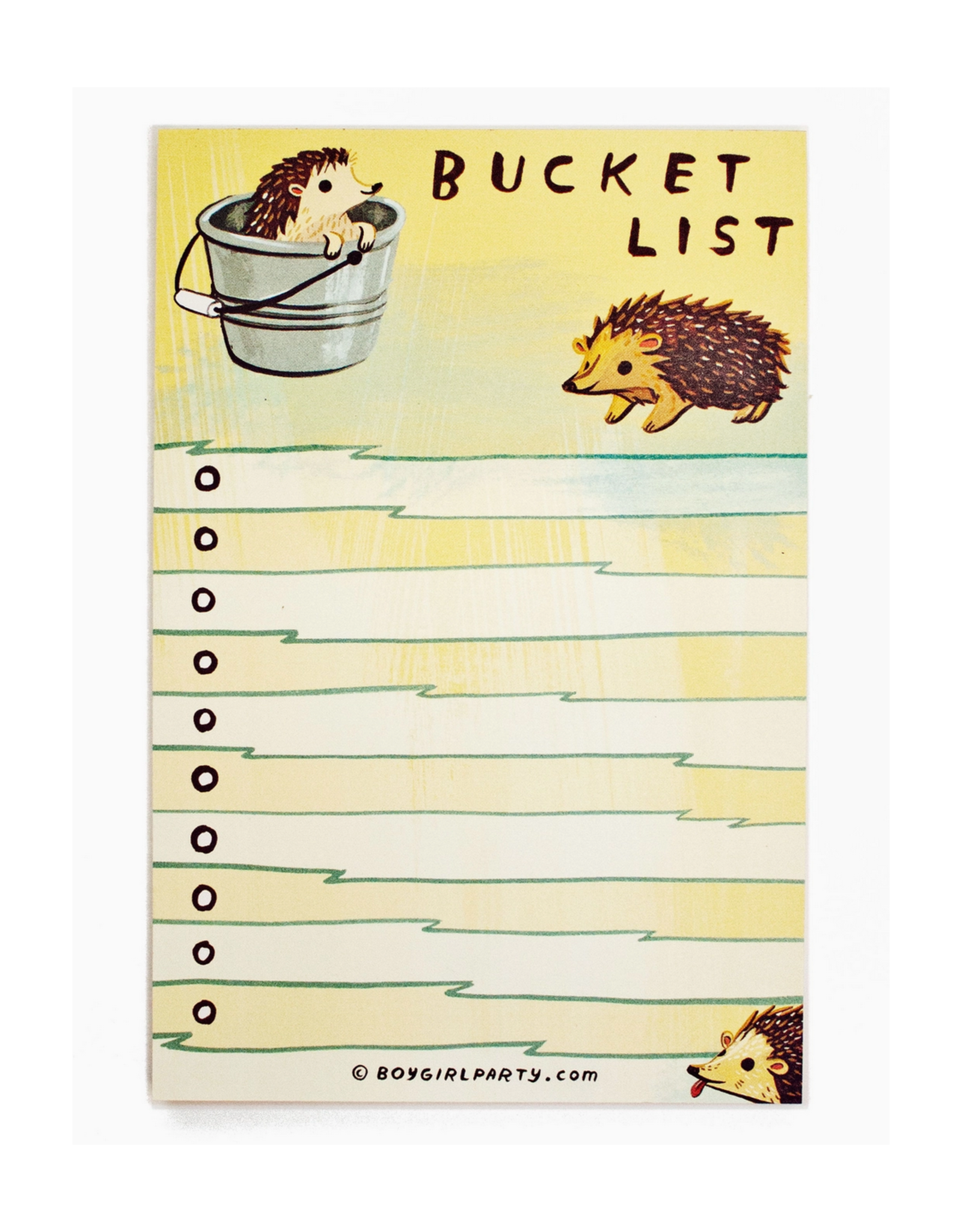 Hedgehog Bucket List