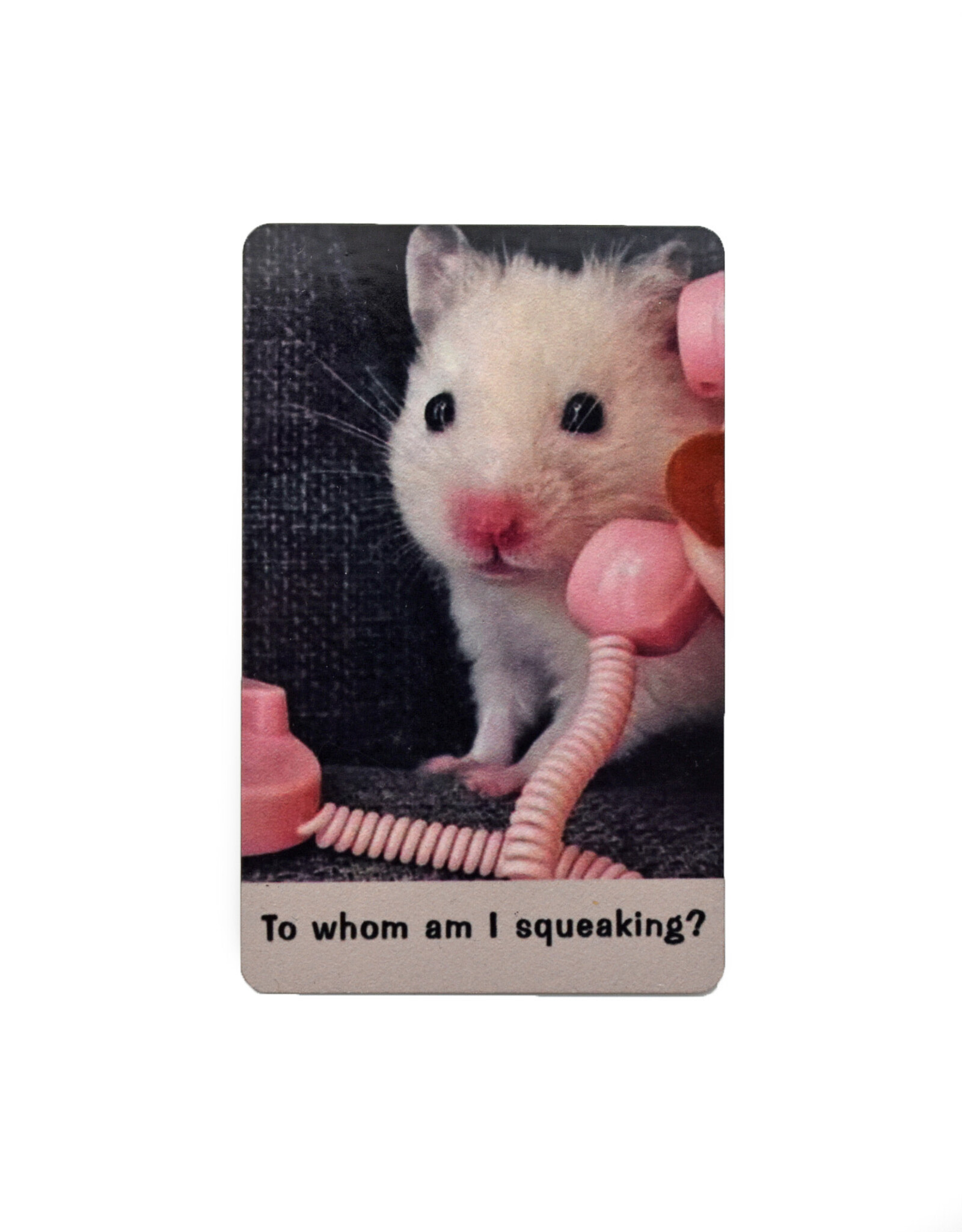 To Whom Am I Squeaking With? Magnet