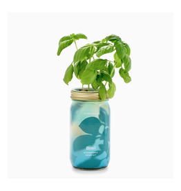 Basil Herb Garden Jar