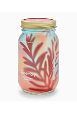 Rosemary Herb Garden Jar Rosemary Herb Garden Jar