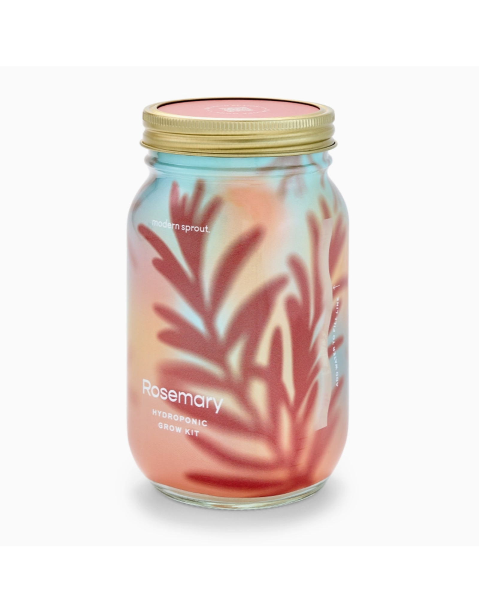Rosemary Herb Garden Jar