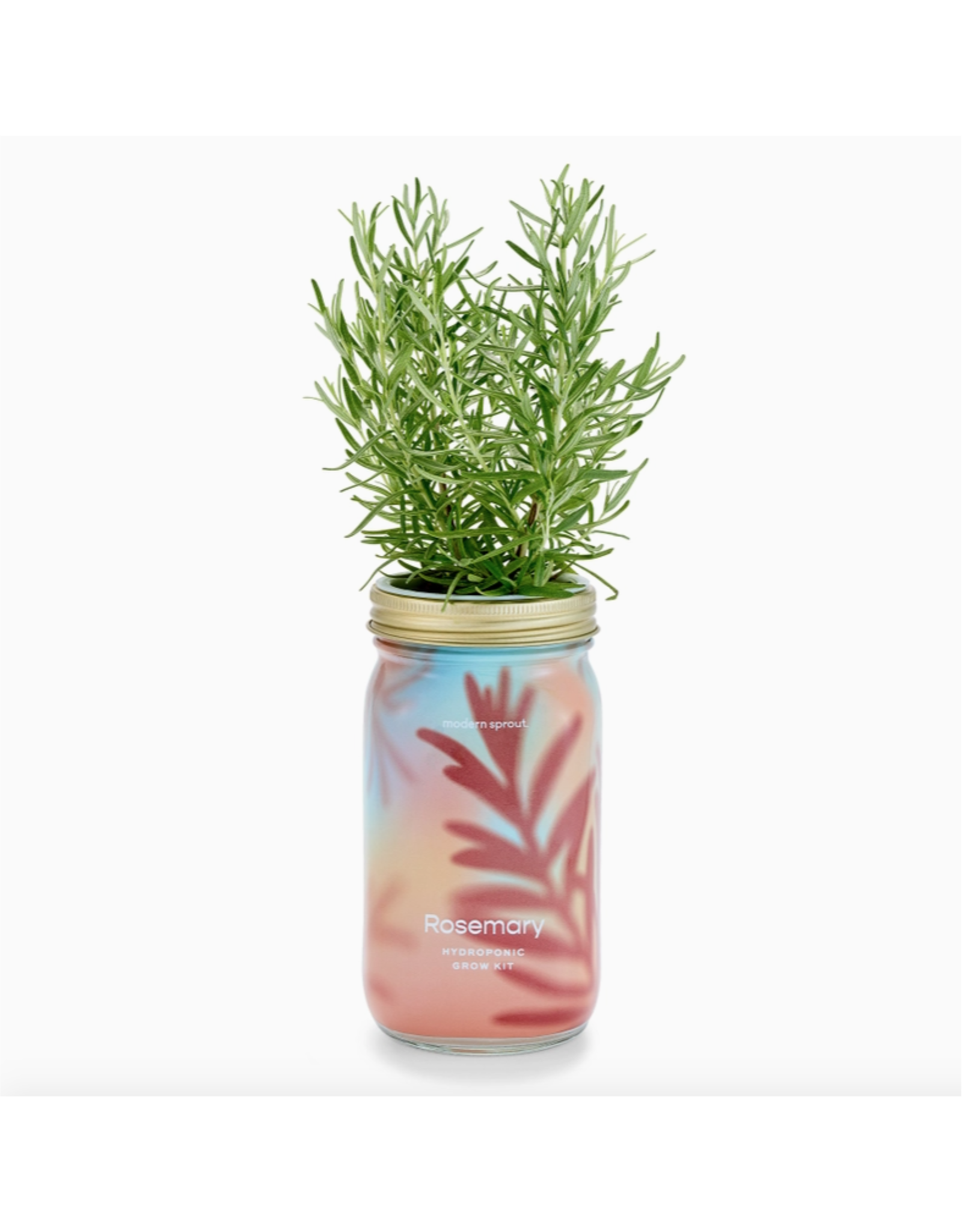 Rosemary Herb Garden Jar