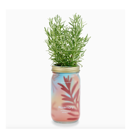 Rosemary Herb Garden Jar