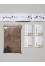 Rainbow Garden Seed Ball Kit