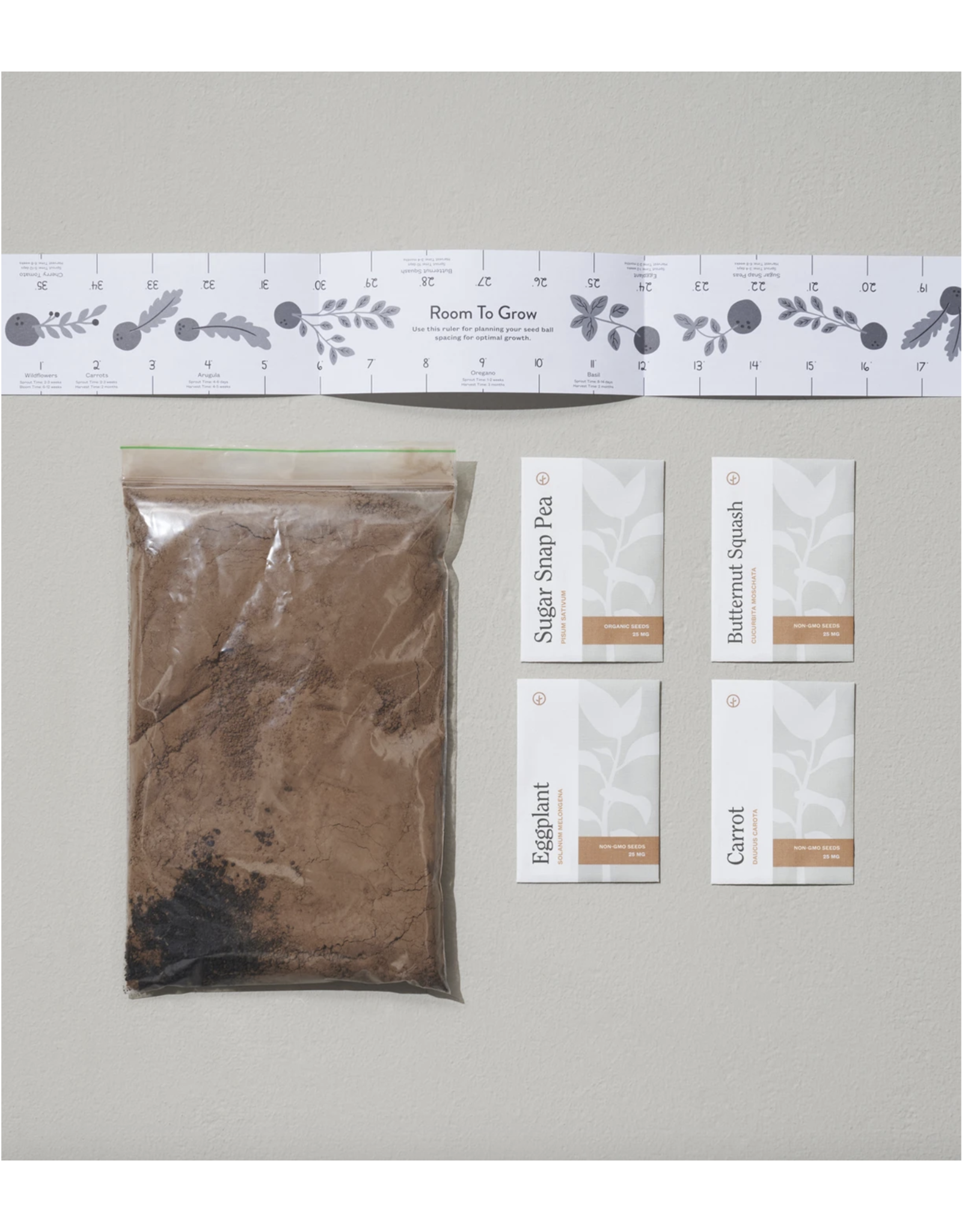 Rainbow Garden Seed Ball Kit