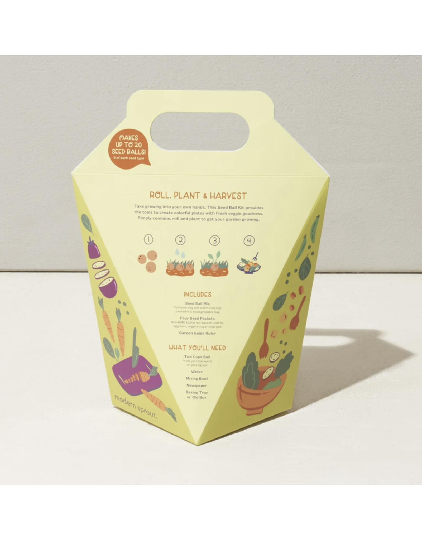Rainbow Garden Seed Ball Kit
