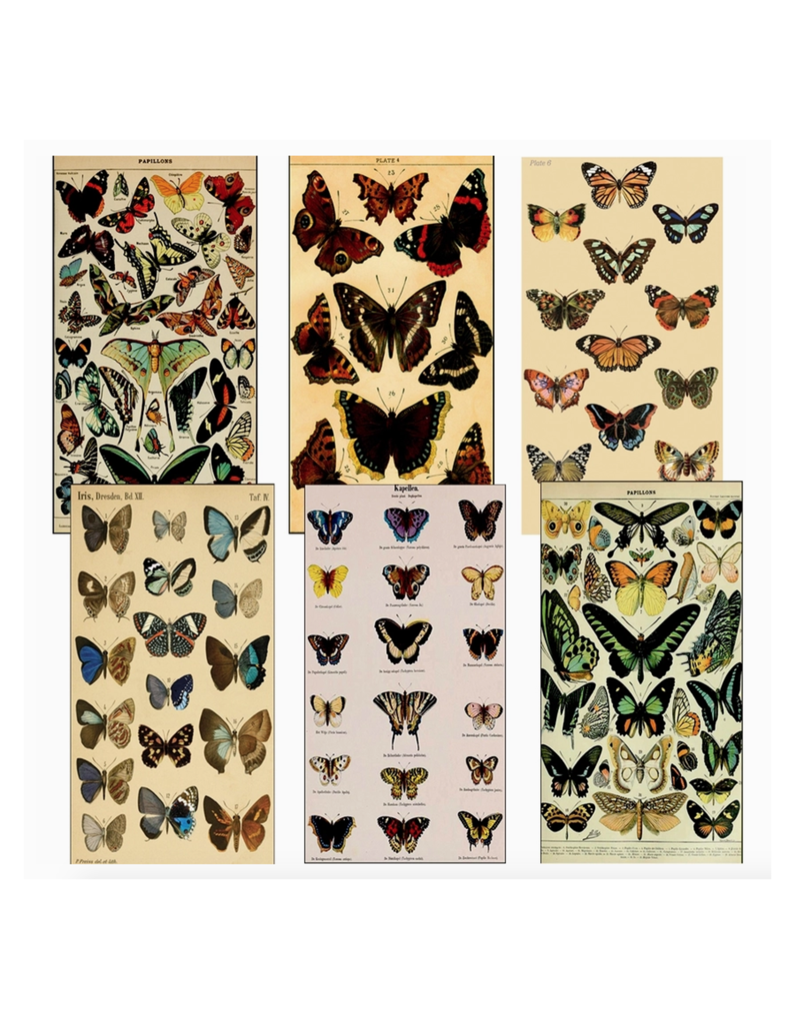 Vintage Butterflies Matchbox (Assorted)