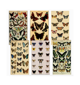 Vintage Butterflies Matchbox (Assorted)