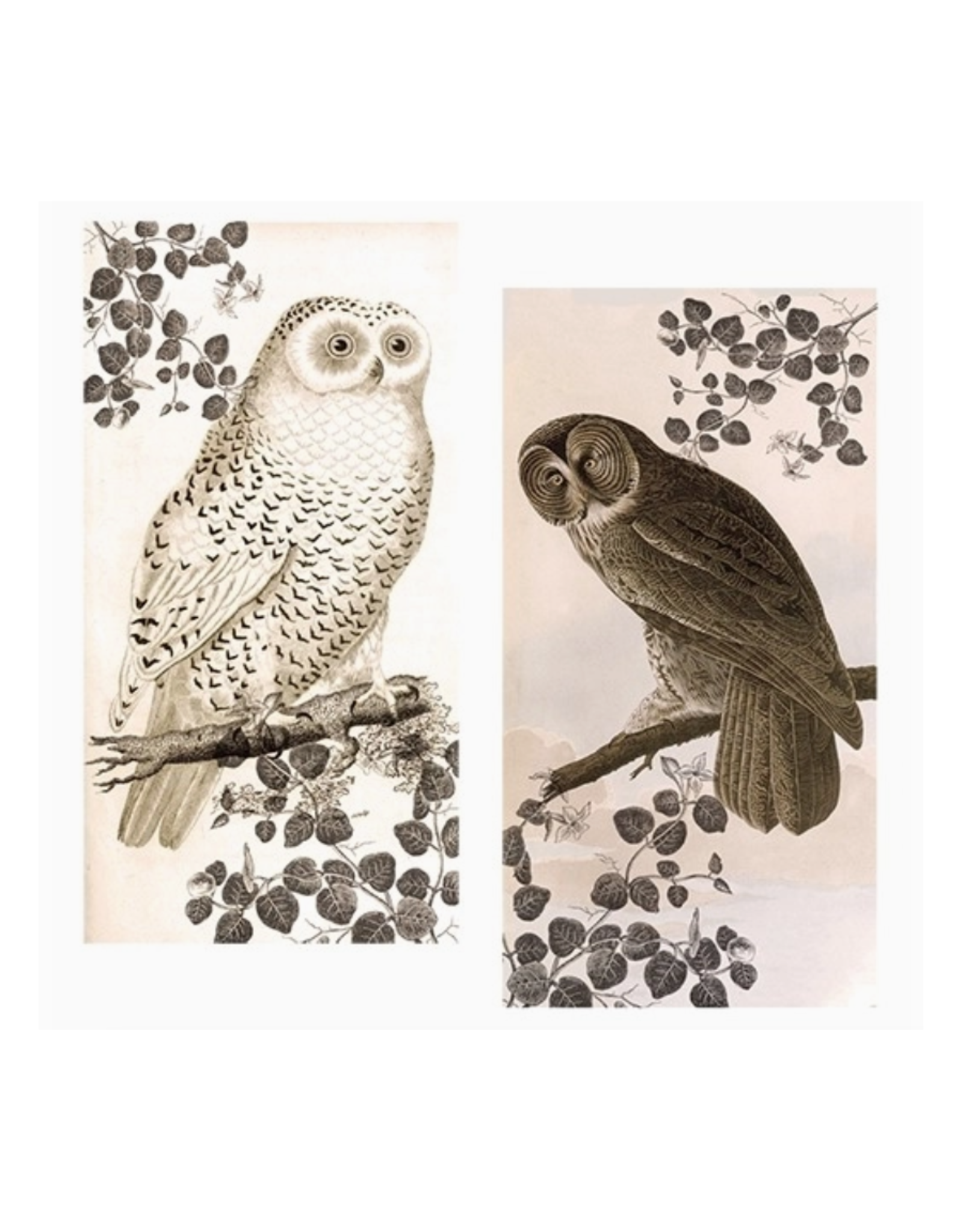Vintage Owl Matchbox