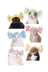 Candy Cat Cap Blind Box