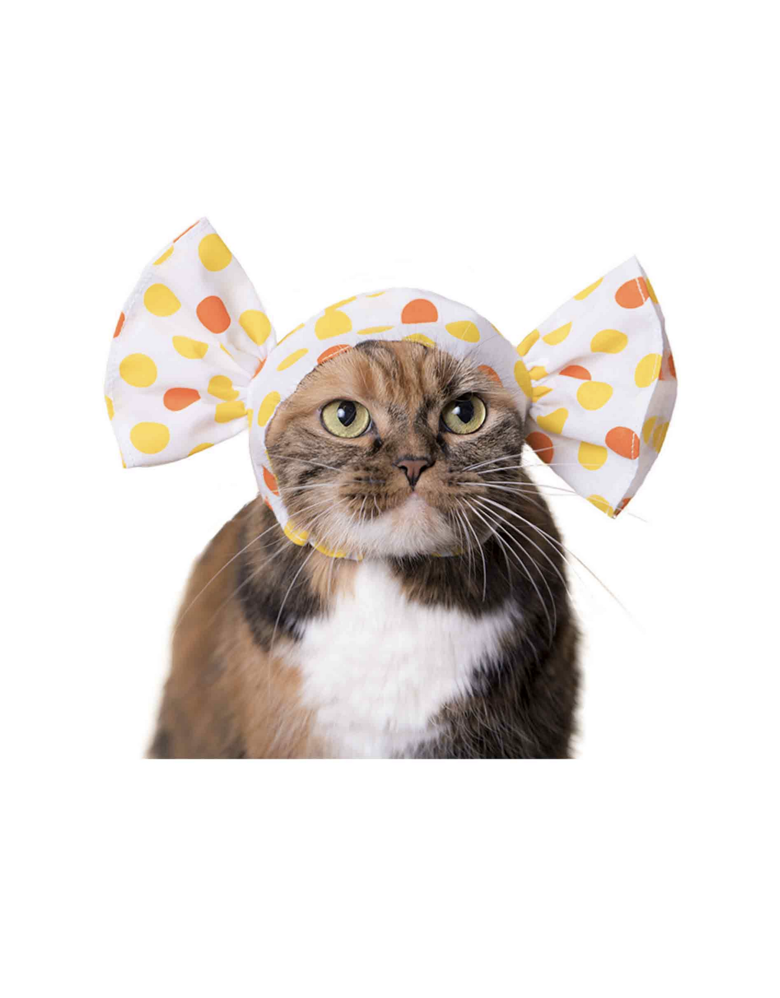 Candy Cat Cap Blind Box