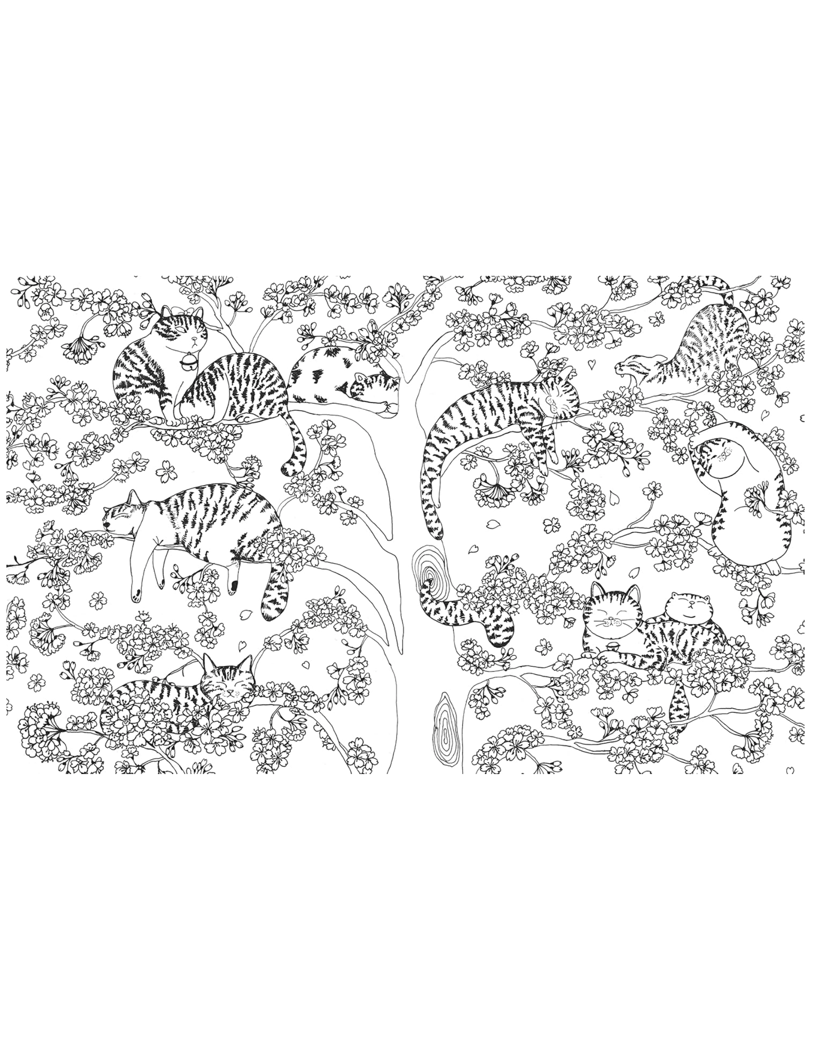 A Million Cats Coloring Book