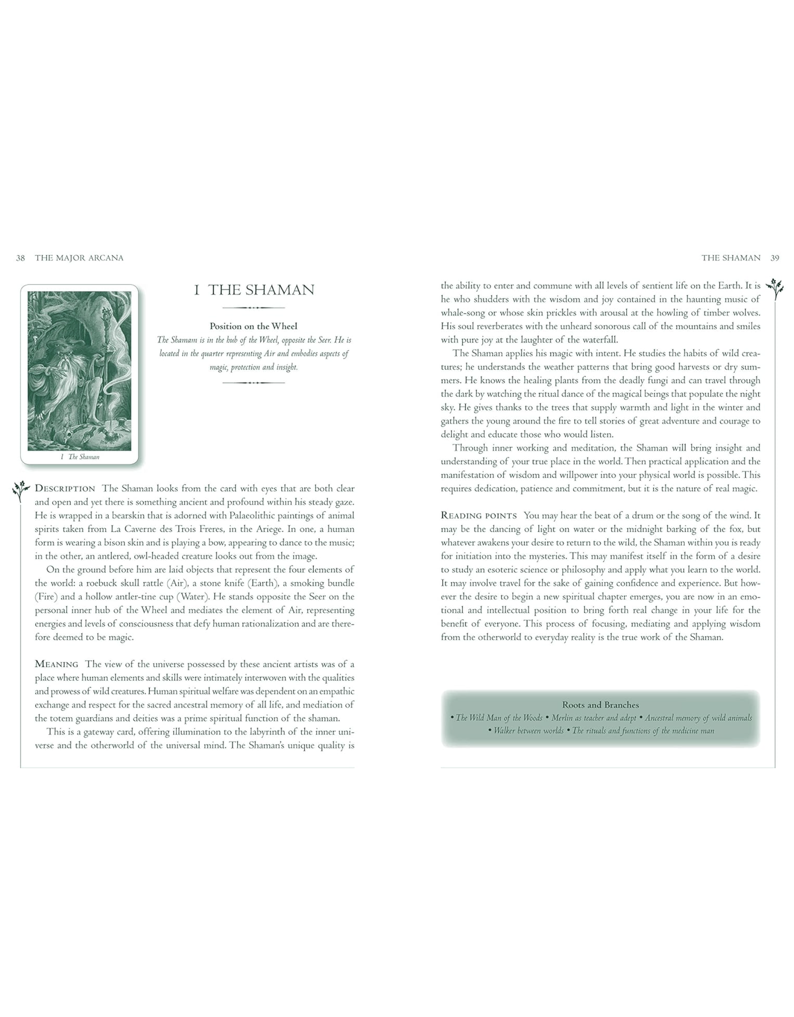 Wildwood Tarot Deck