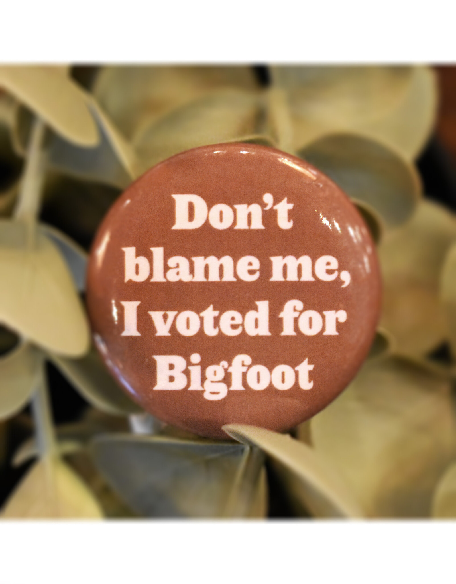 I Voted For Bigfoot Button