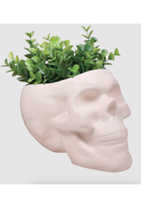 Bone Skull Planter Bone Skull Planter