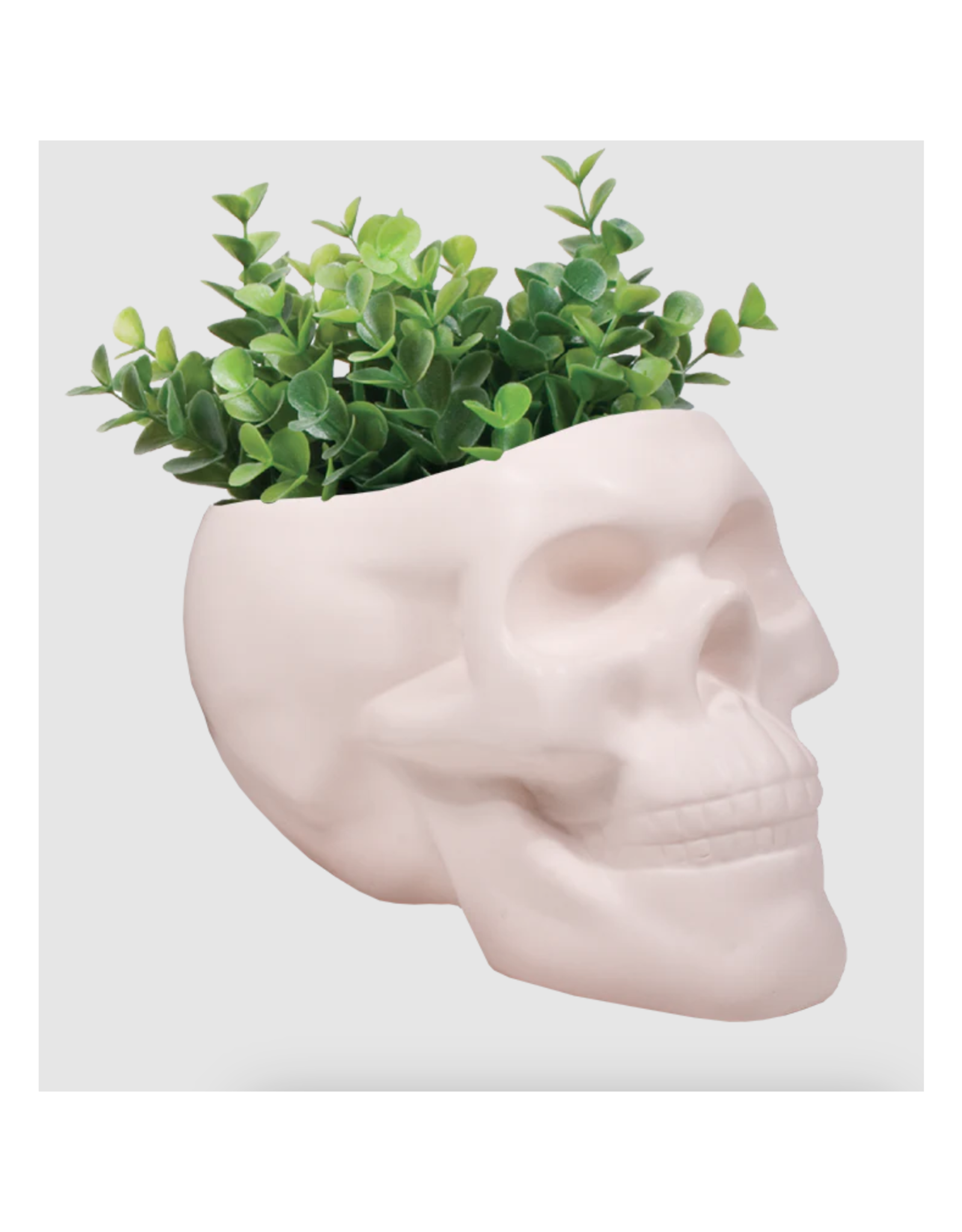Bone Skull Planter