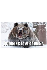 I Fucking Love Cocaine Bumper Sticker