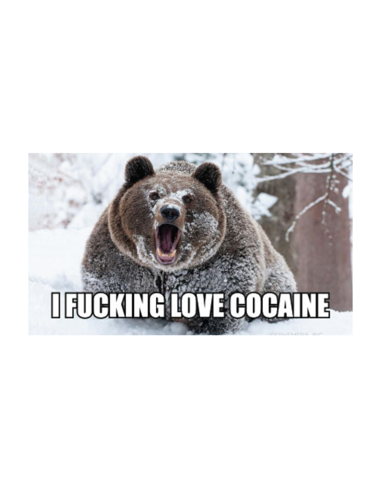 I Fucking Love Cocaine Bumper Sticker