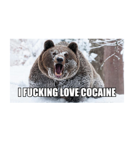 I Fucking Love Cocaine Bumper Sticker
