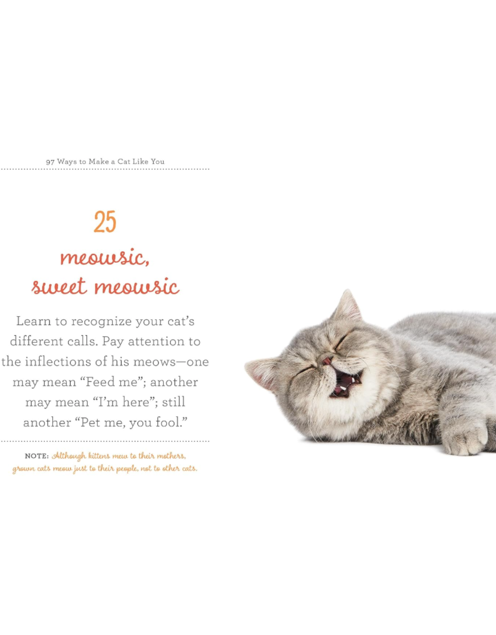 97 Ways to Make a Cat Like You