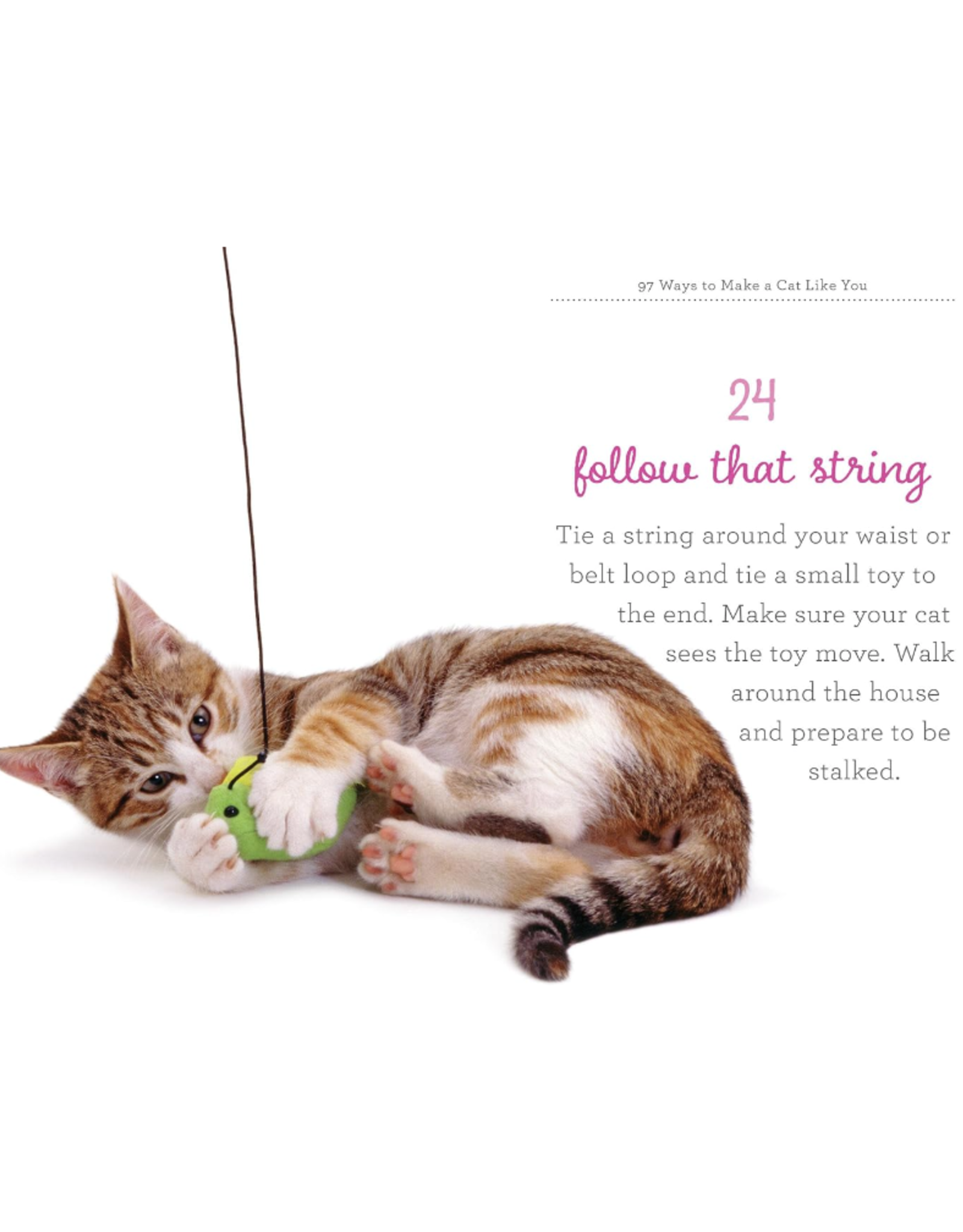 97 Ways to Make a Cat Like You