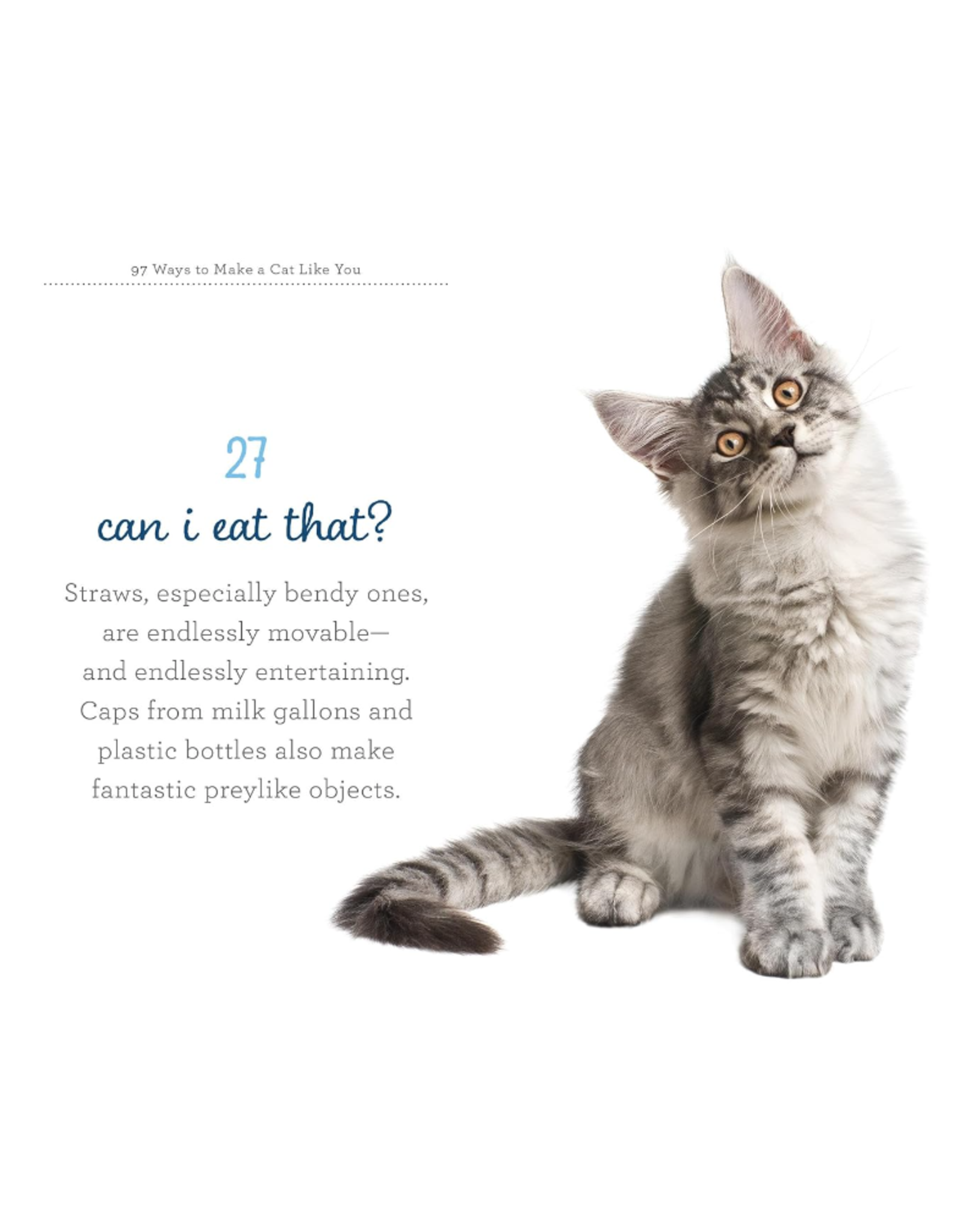 97 Ways to Make a Cat Like You