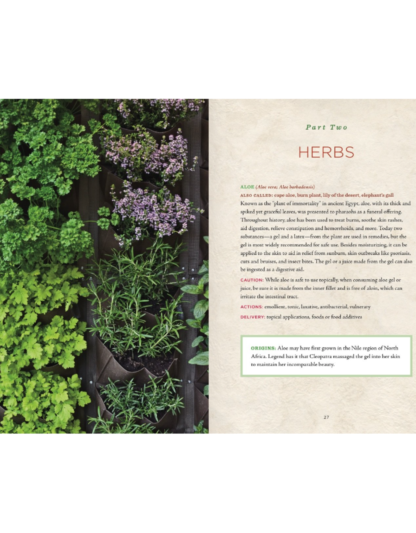 Healing Herbs Handbook