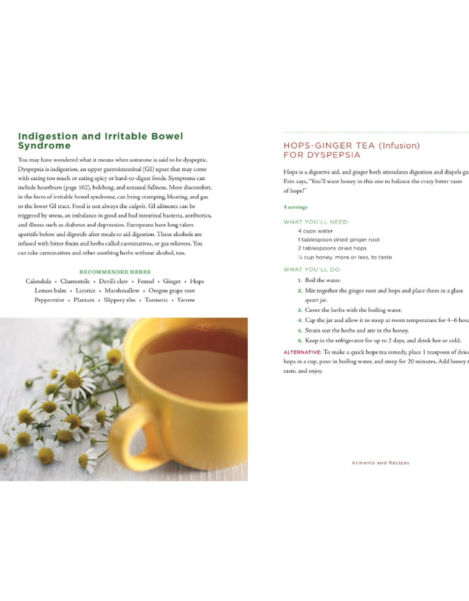 Healing Herbs Handbook