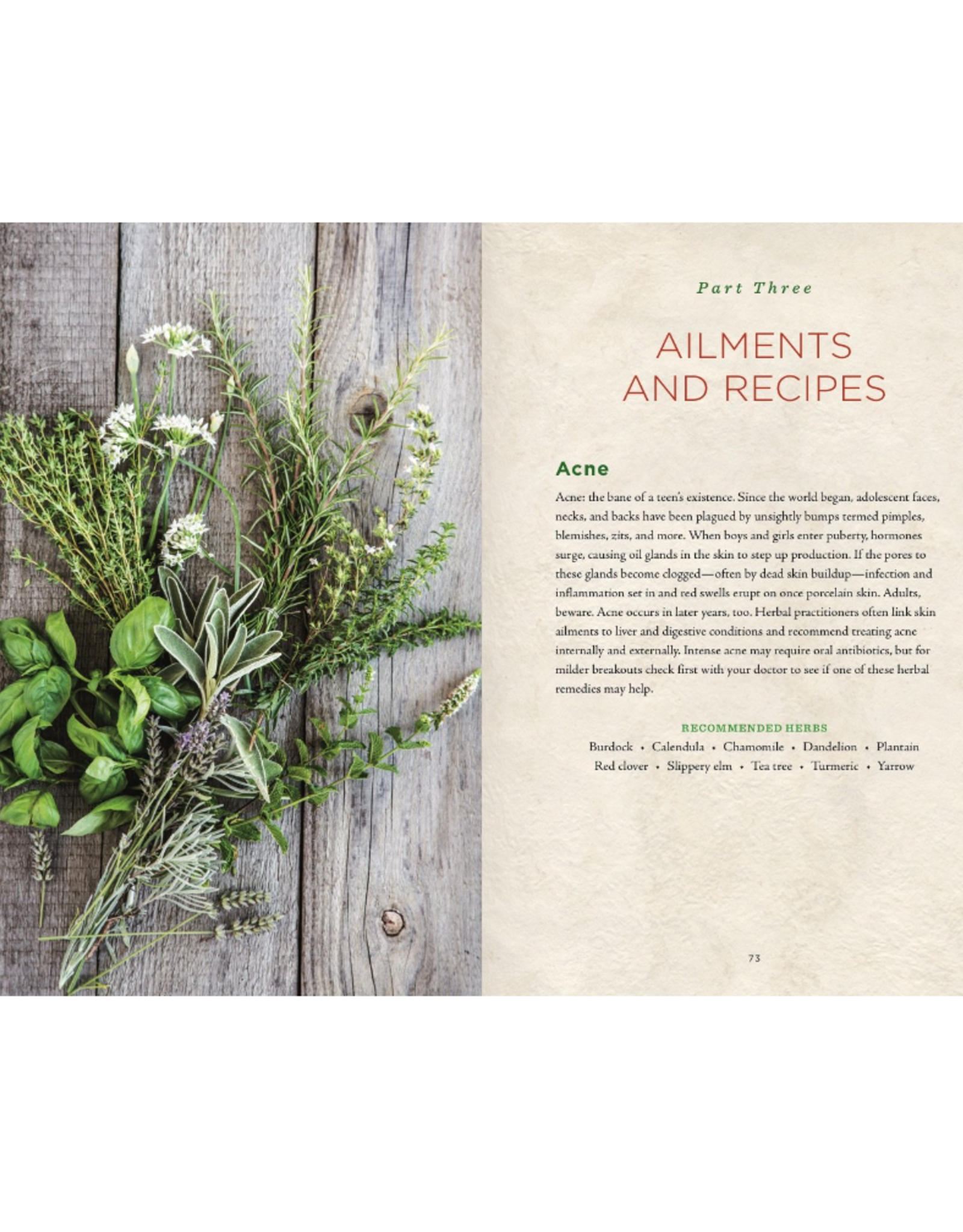 Healing Herbs Handbook