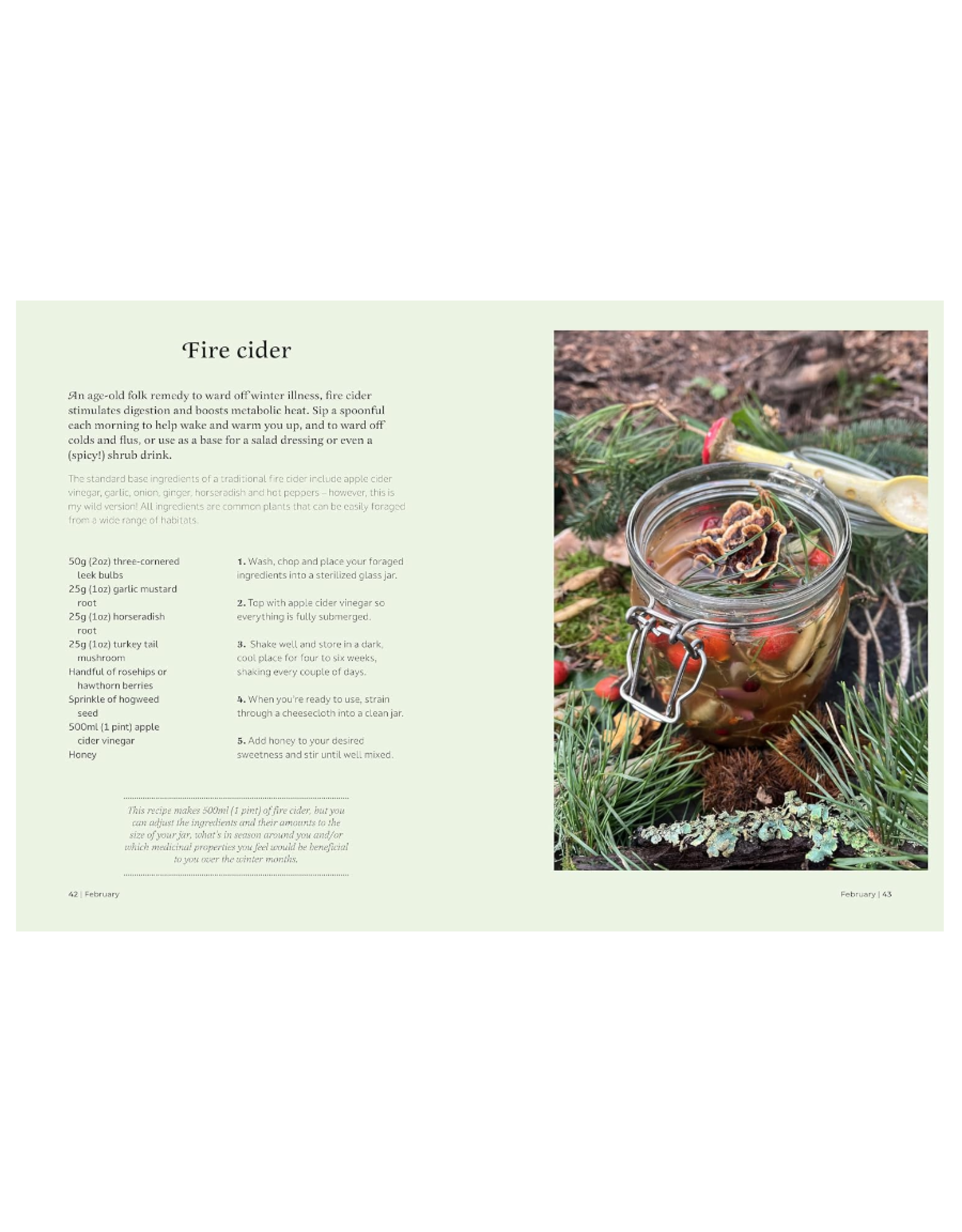 The Forager's Almanac