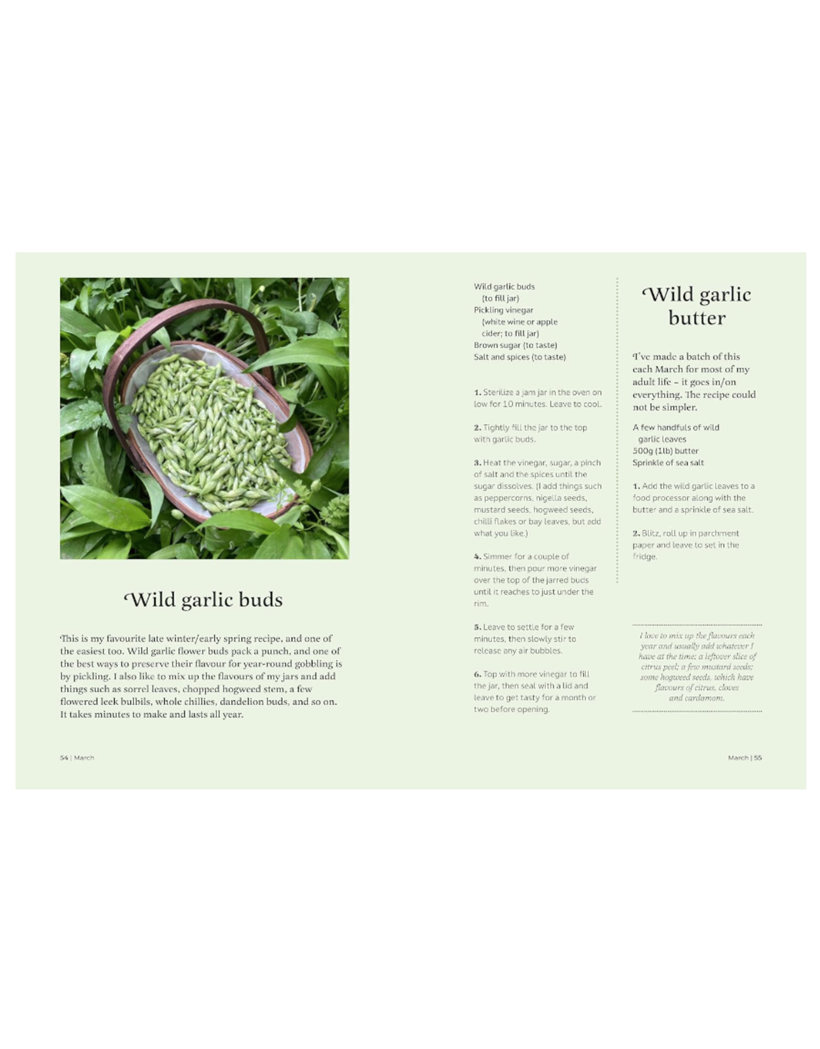 The Forager's Almanac