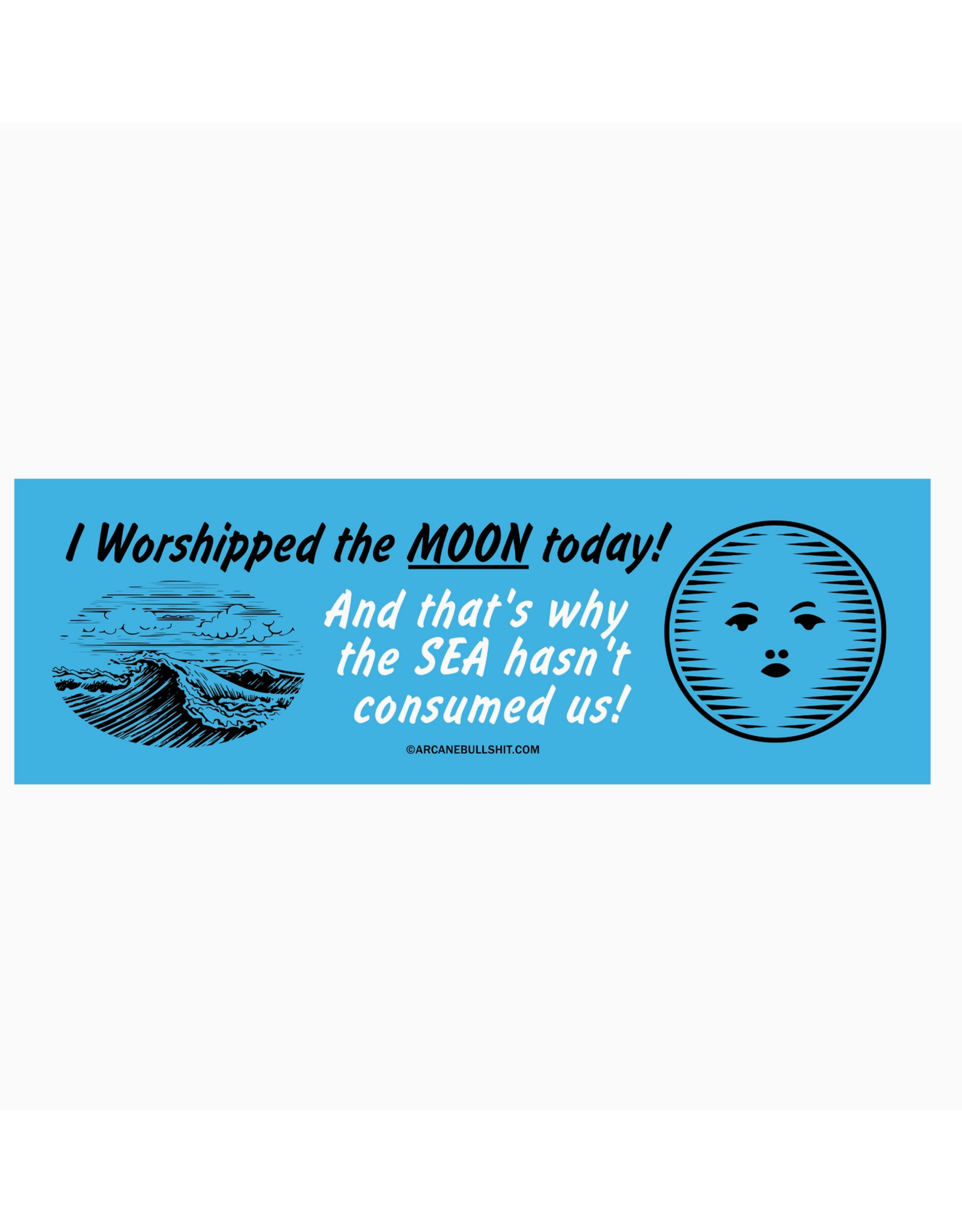 Worshipped the Moon Bumper Sticker